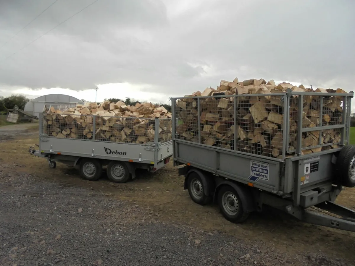 FIREWOOD - Image 3