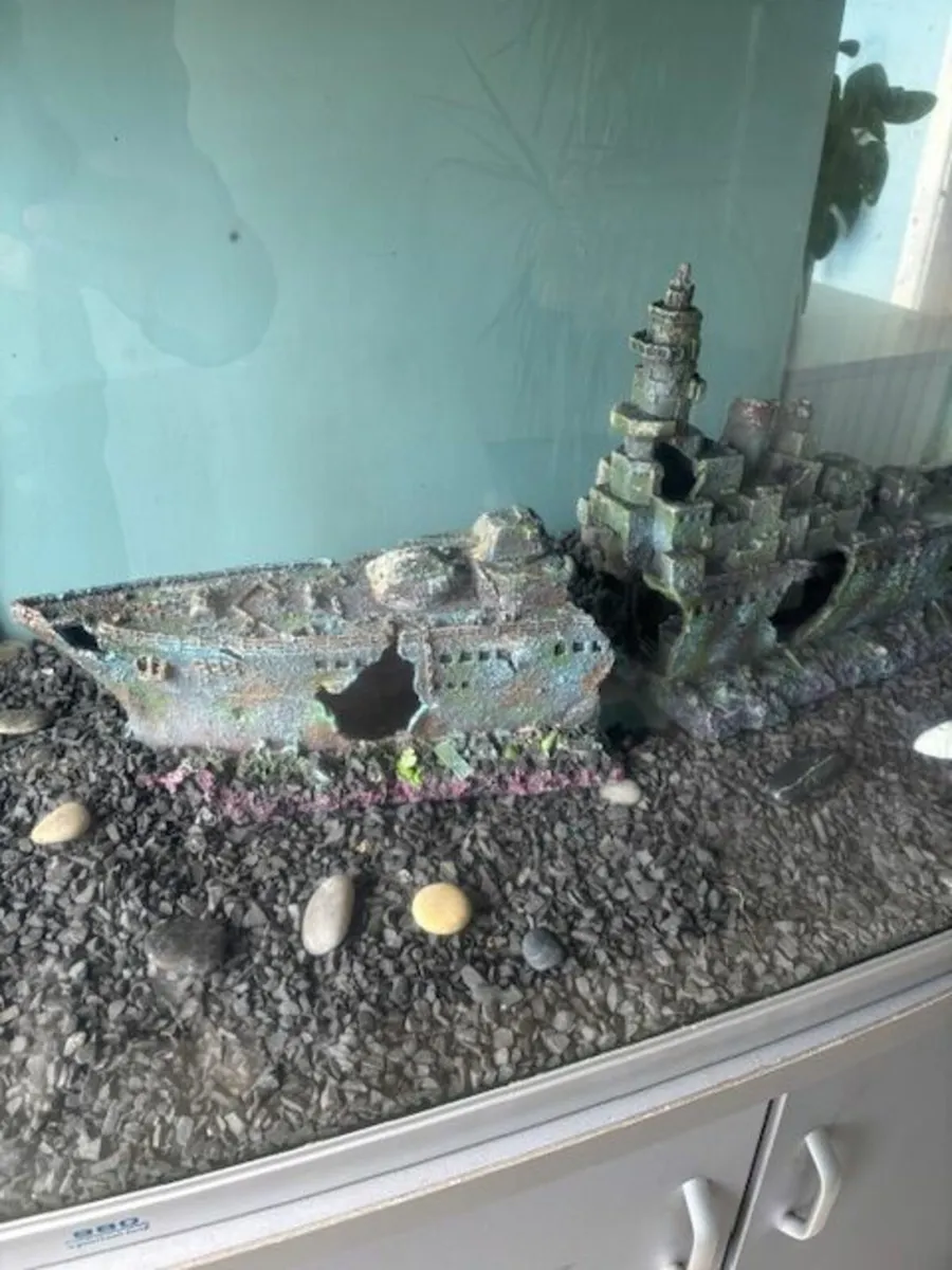 Fish Tank for Sale 215L - Image 1
