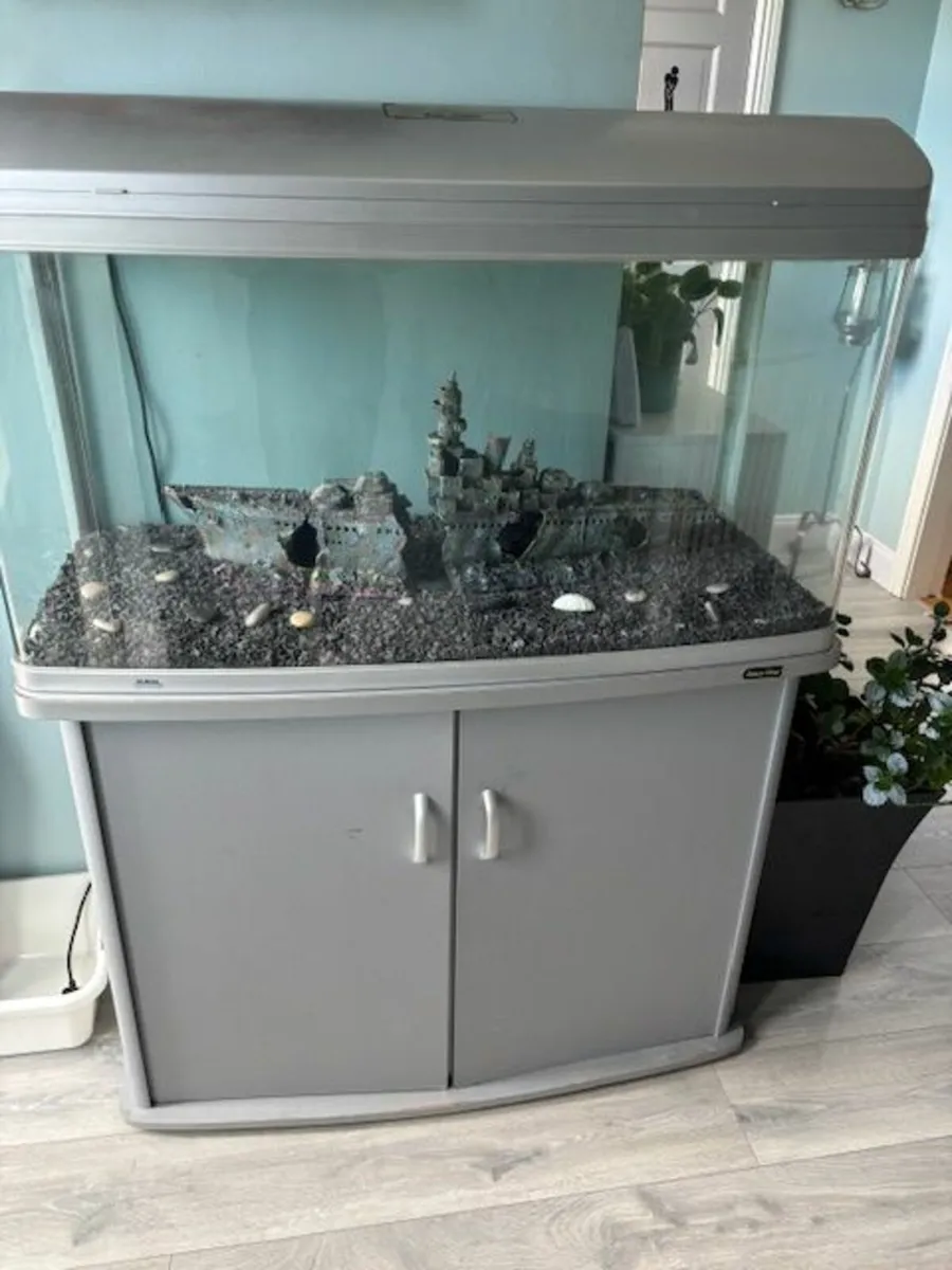 Fish Tank for Sale 215L - Image 2