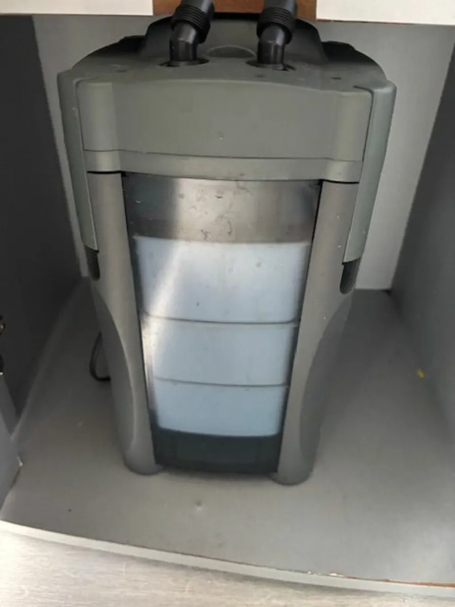 Fish Tank for Sale 215L - Image 3