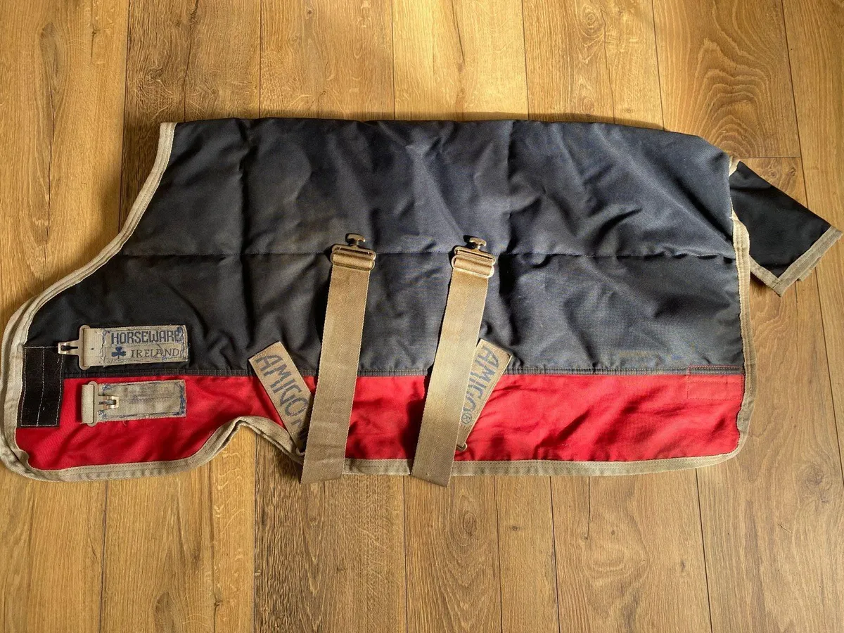 Foal/small pony Amigo Turnout Rugs - Image 3