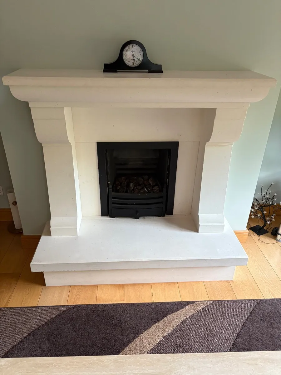 Fireplace and Gas insert for sale - Image 1
