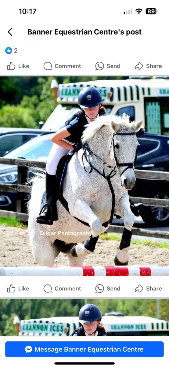 Pony - Image 1