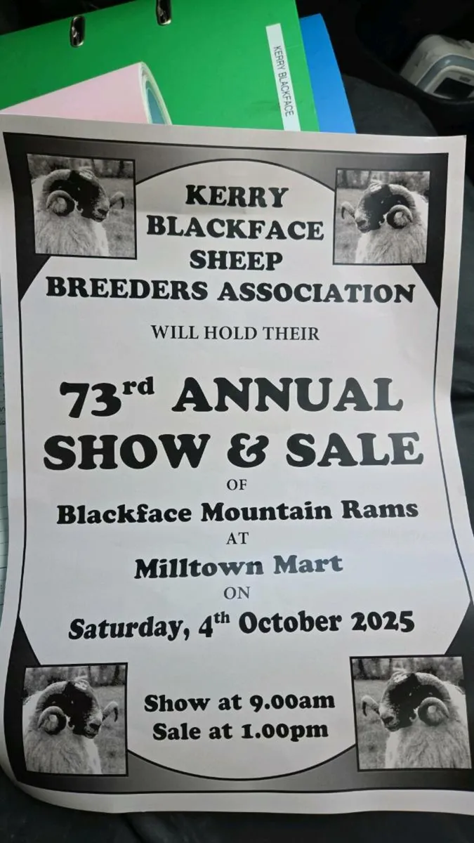 Kerry Blackface