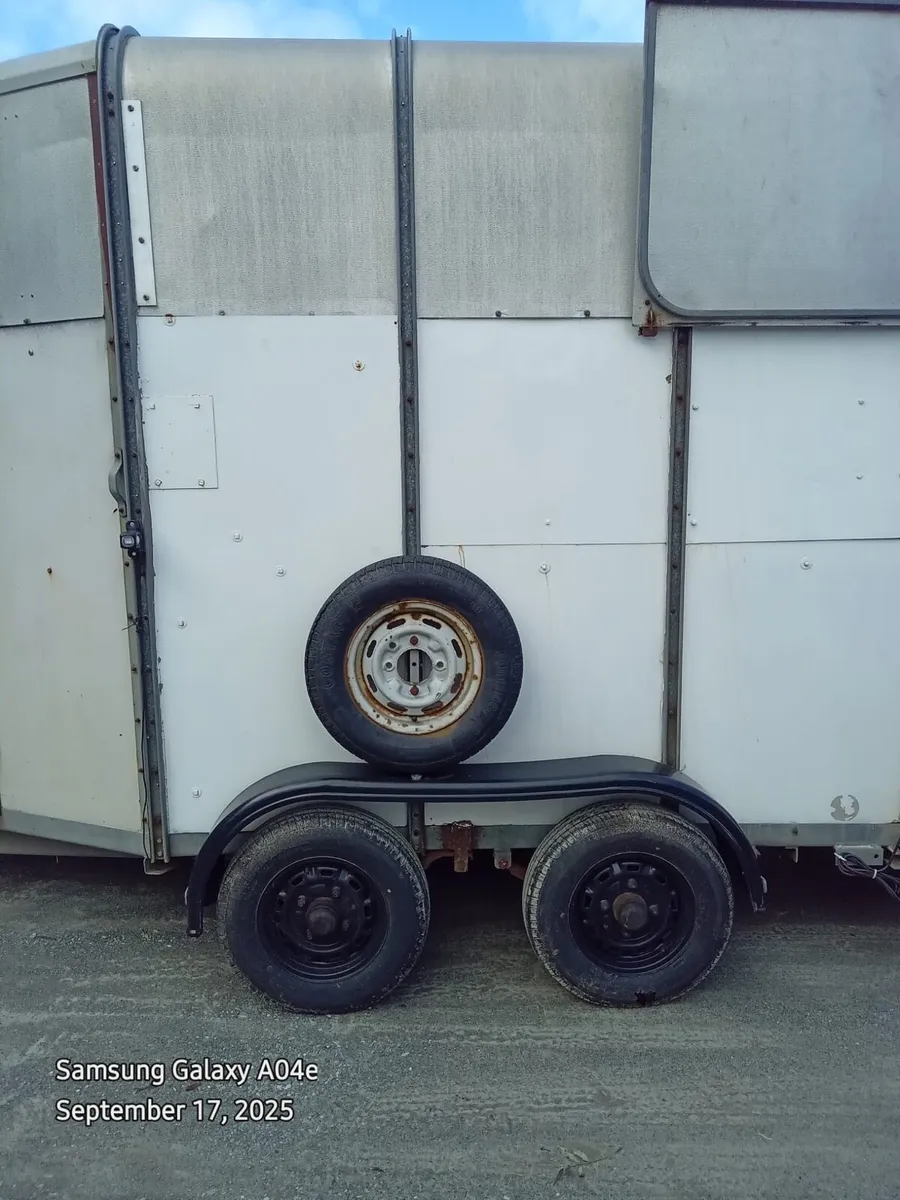 510 Horse box - Image 3