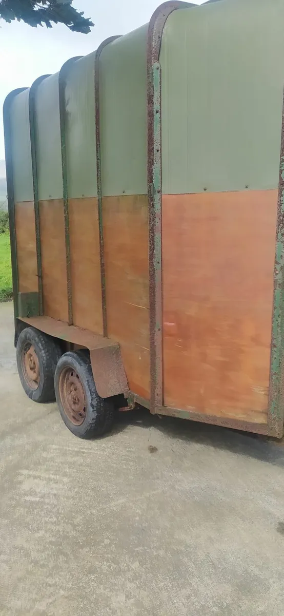 Horse box - Image 4