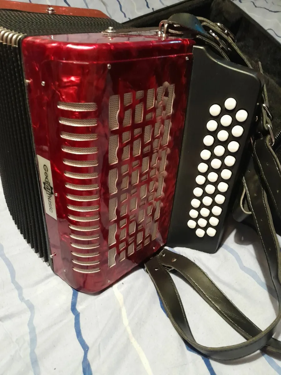 accordion - Image 4