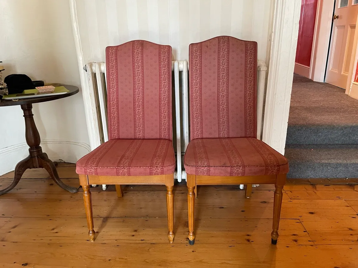 10 cushioned dining chairs - Image 1