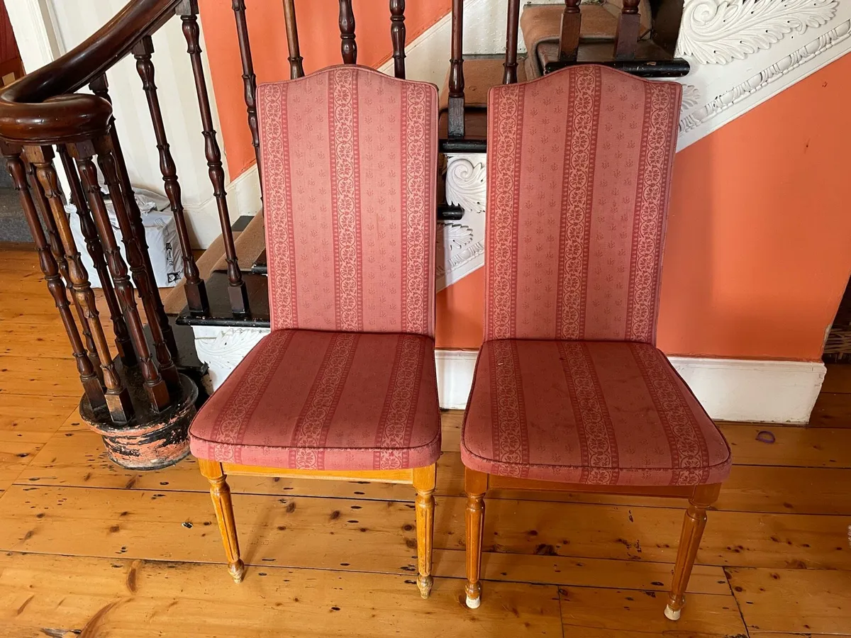 10 cushioned dining chairs - Image 3