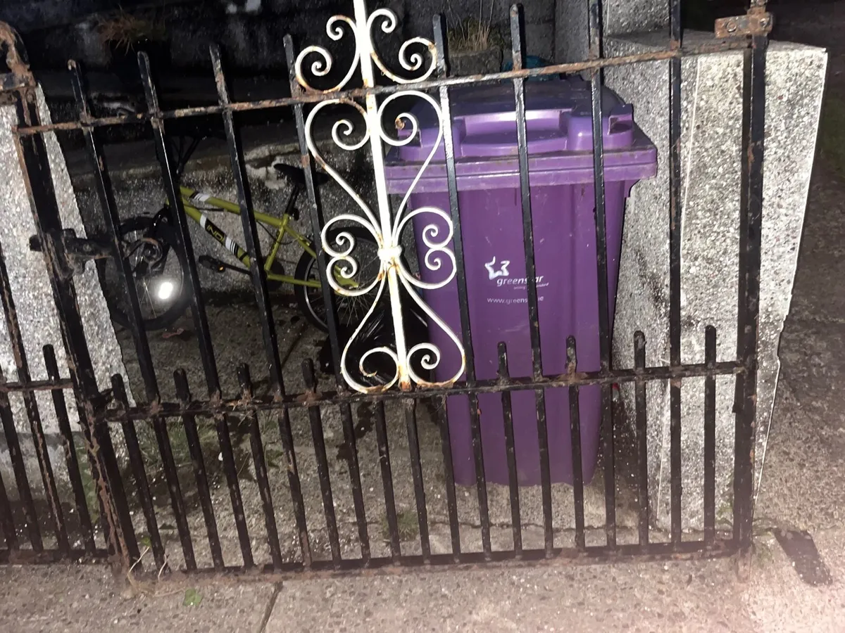 10ft gates - Image 1