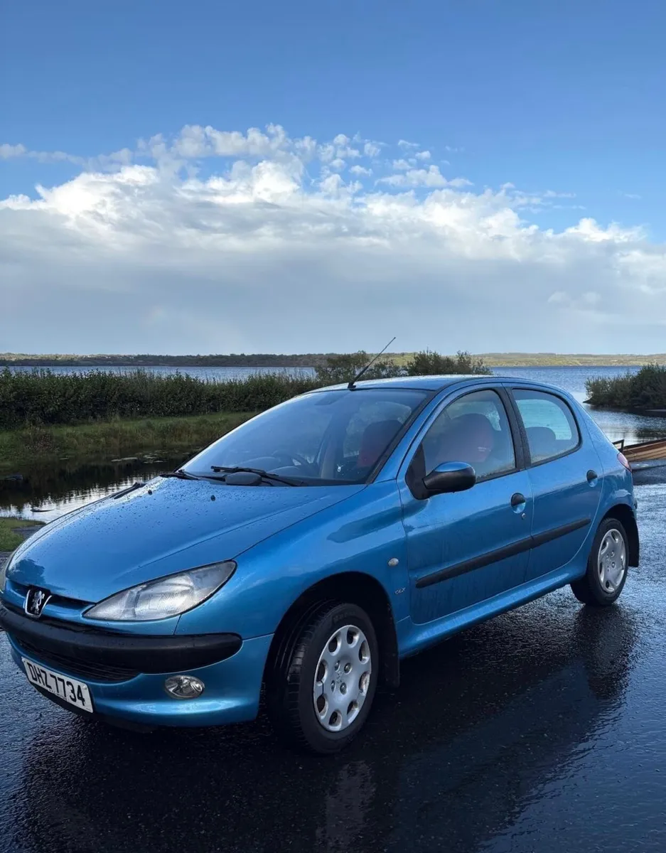 2004 Peugeot 206 1.4 HDI - Image 2