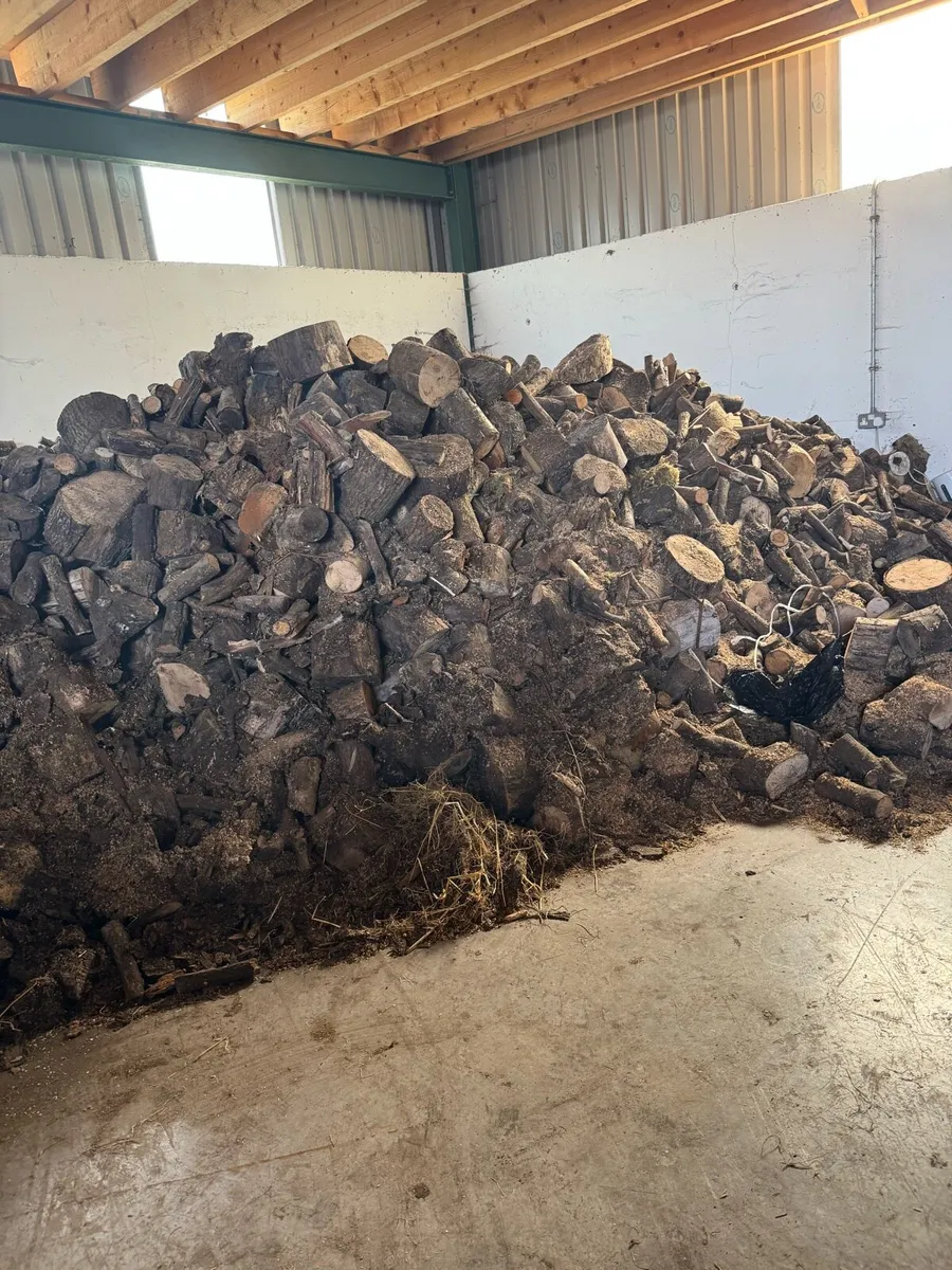 Firewood for sale - Image 3