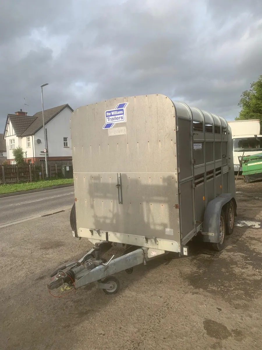 Ifor Williams 10ft cattle trailer - Image 1