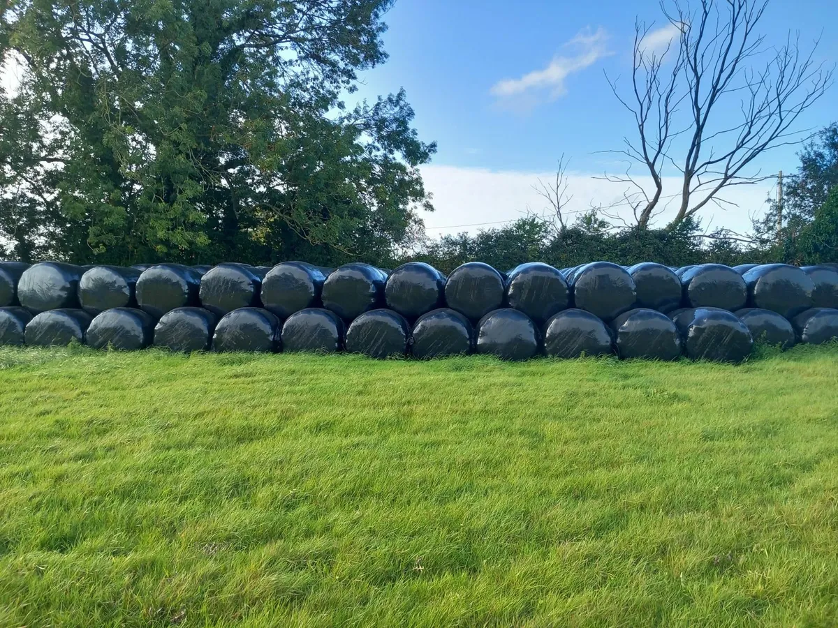 Silage bales