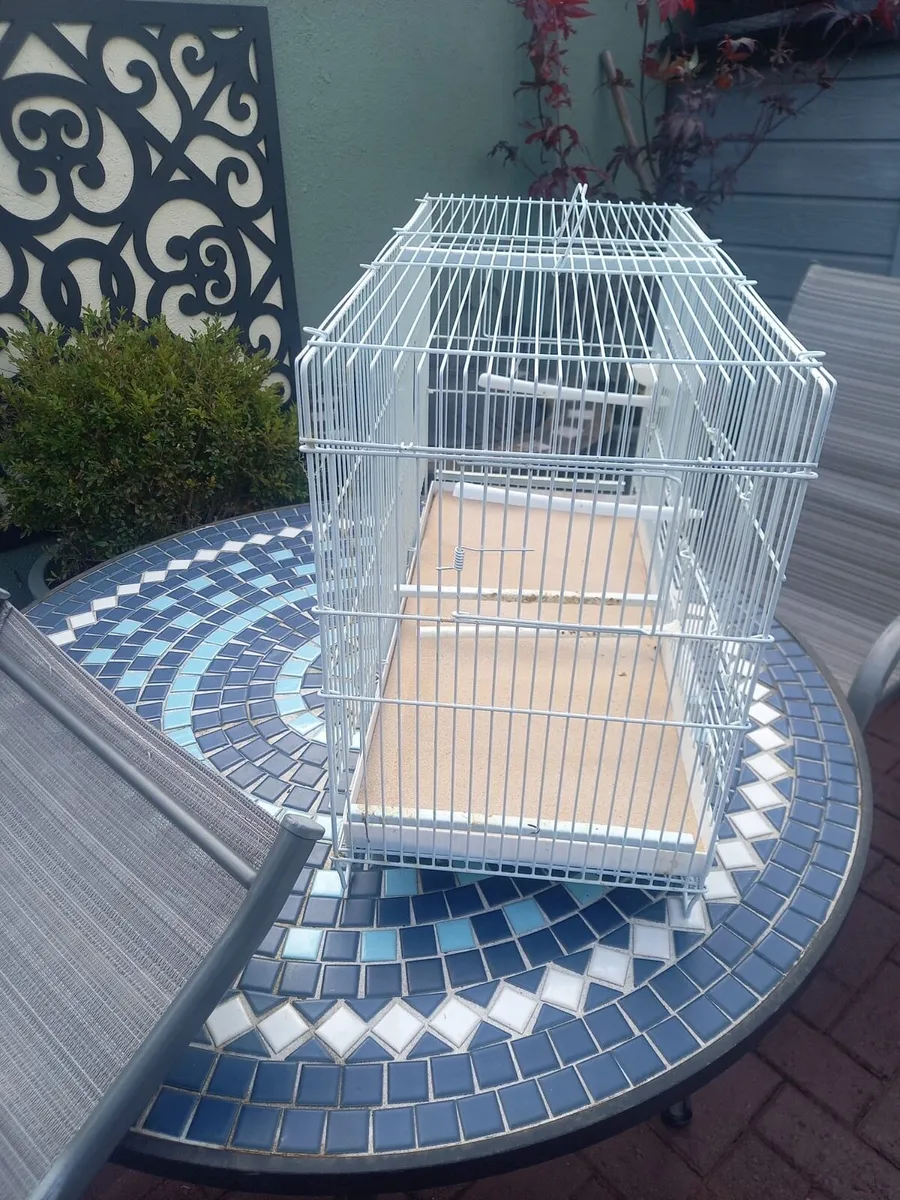 Bird cages - Image 2