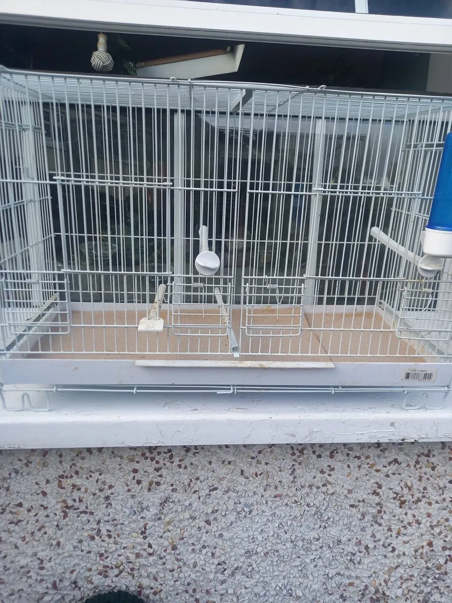 Bird cages - Image 4