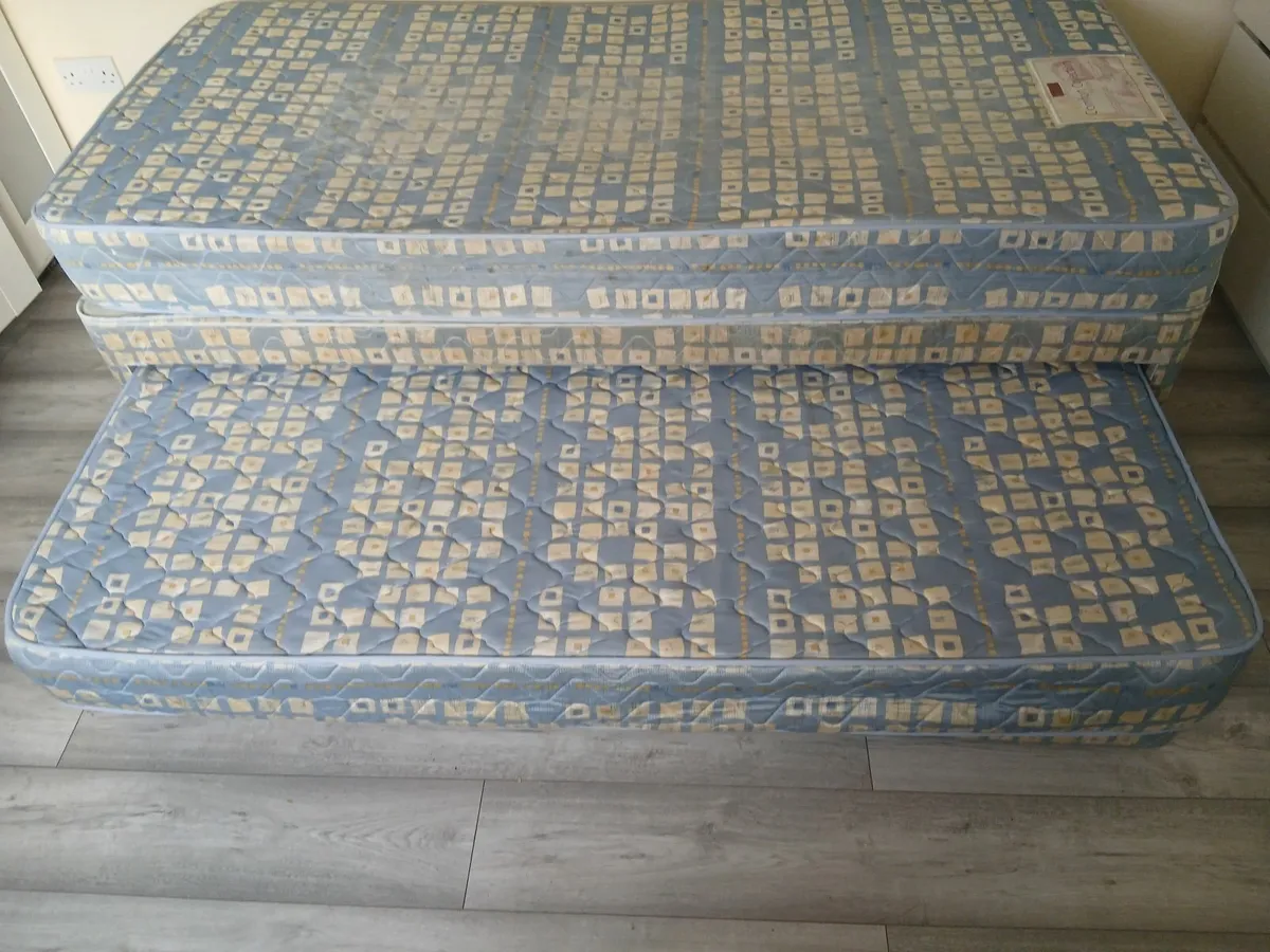 Single bed with pull out bed underneath - Image 1