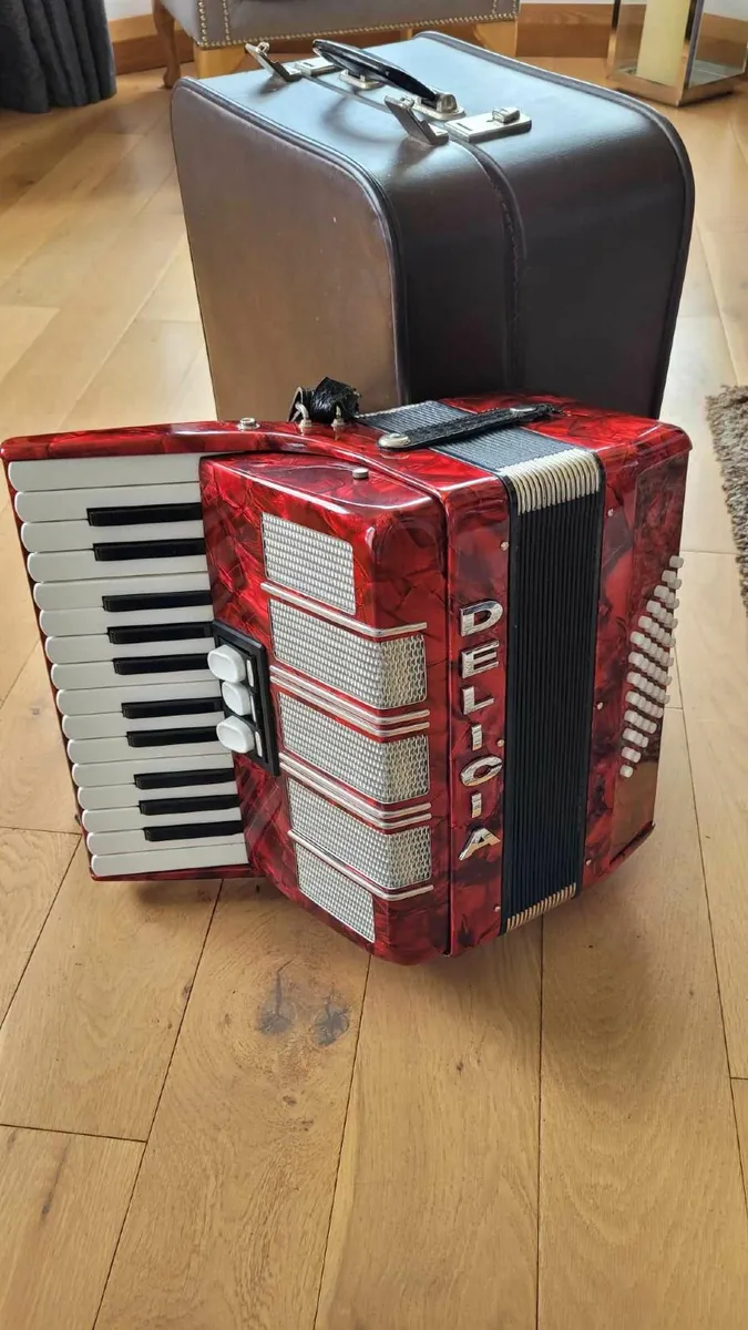 Accordion - Image 3