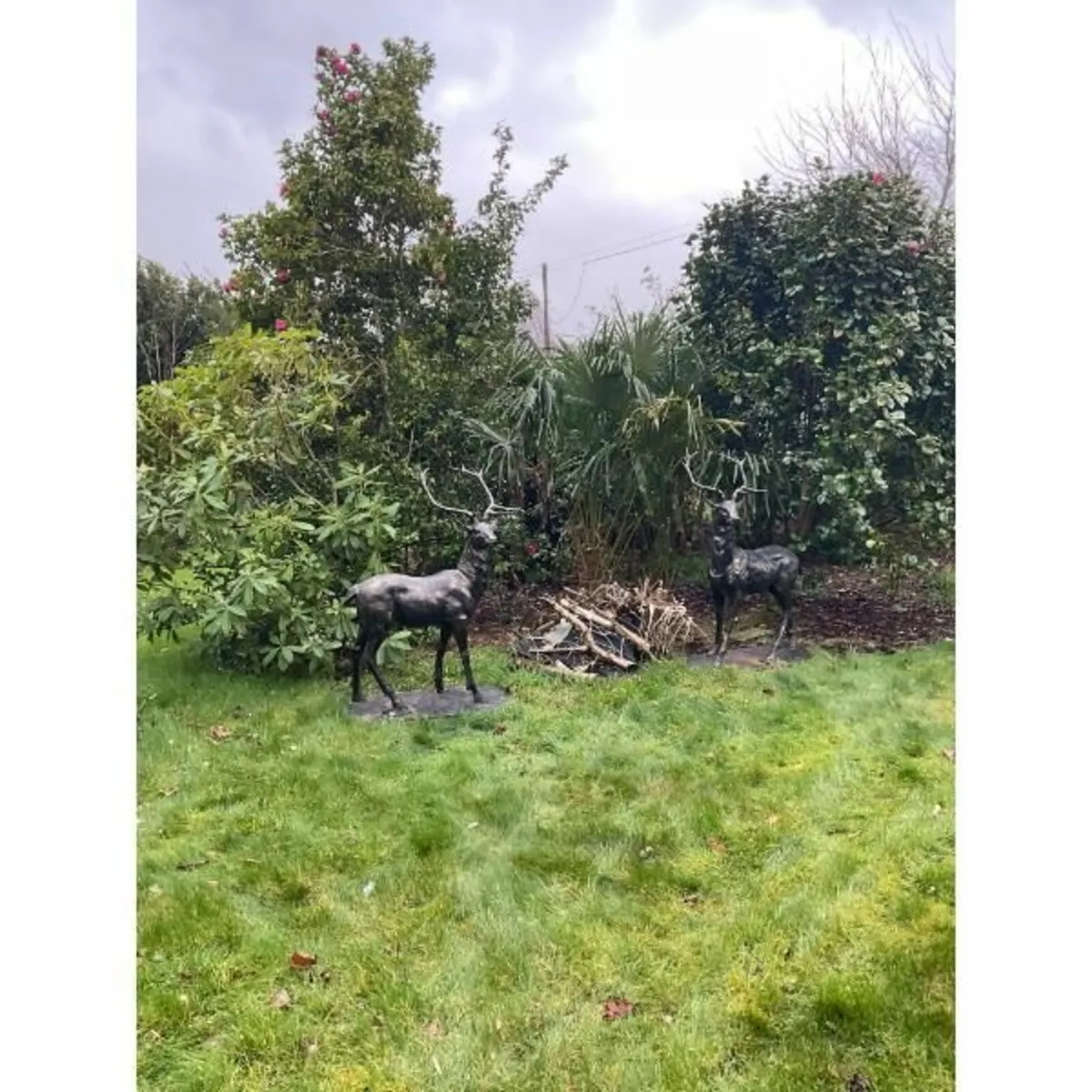 Pair of Standing Stags – D7223