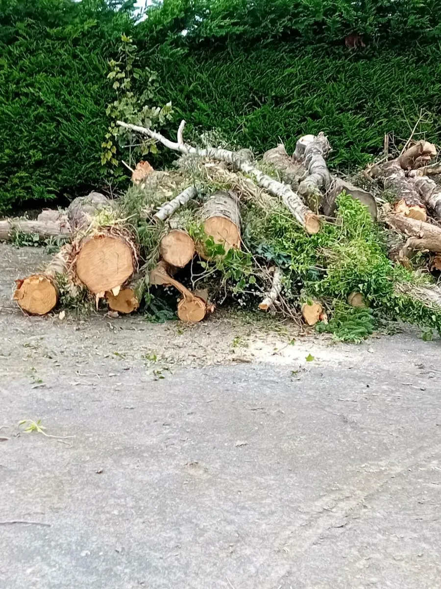 Fire wood or wood turning - Image 3