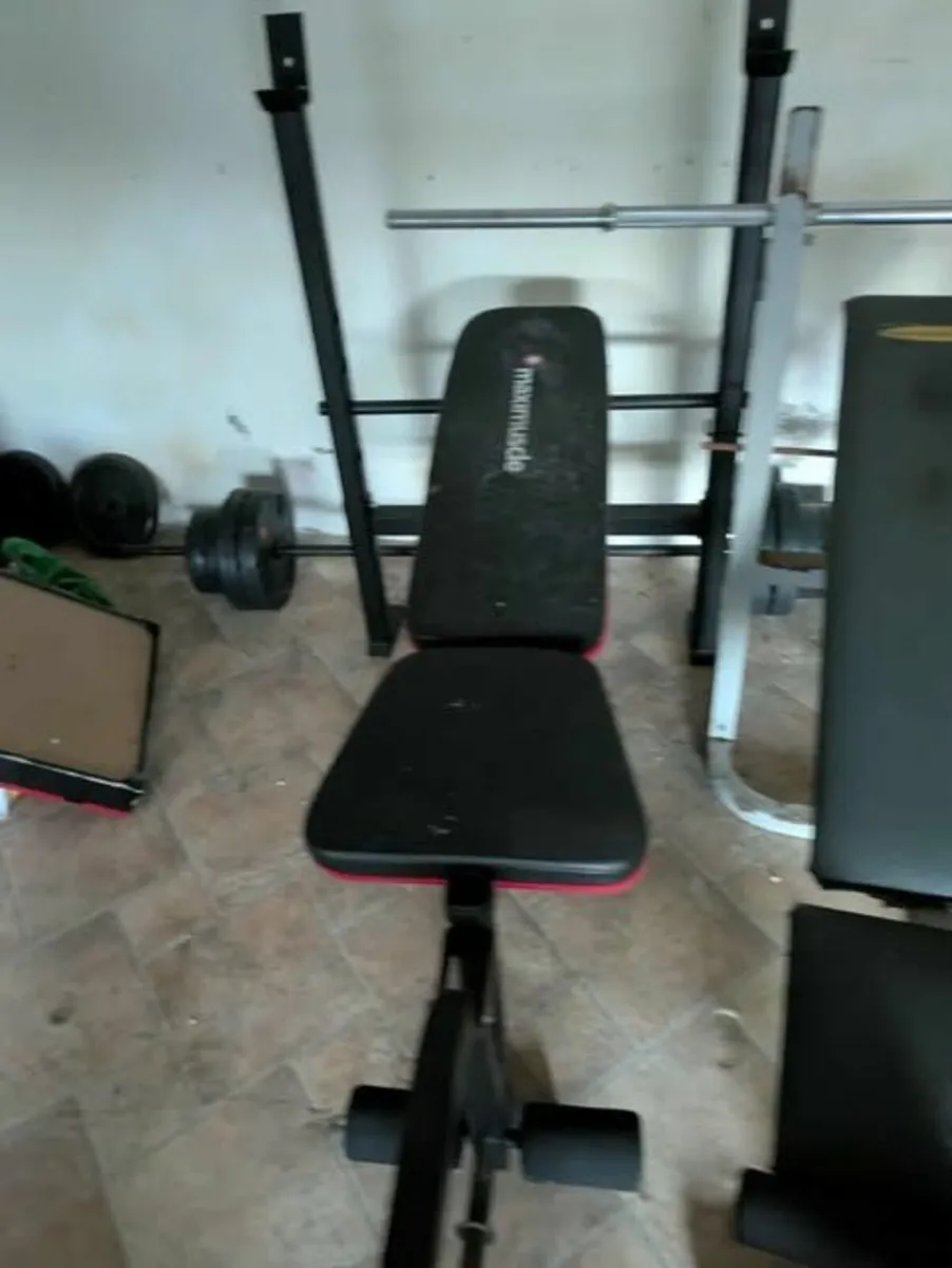 Weights and Benches - Image 3