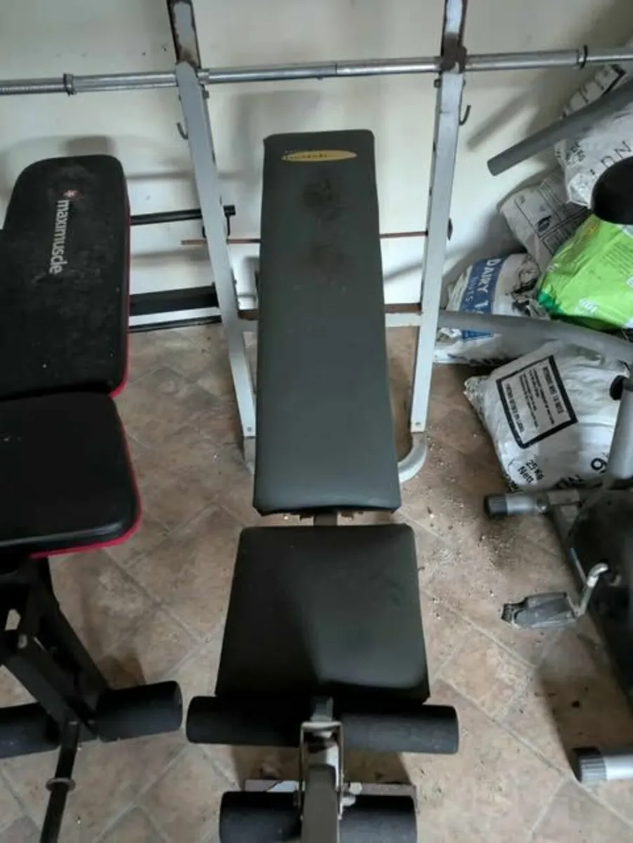 Weights and Benches - Image 4