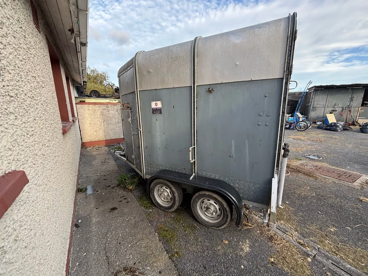 Ifor Williams 505 Horsebox - Image 1
