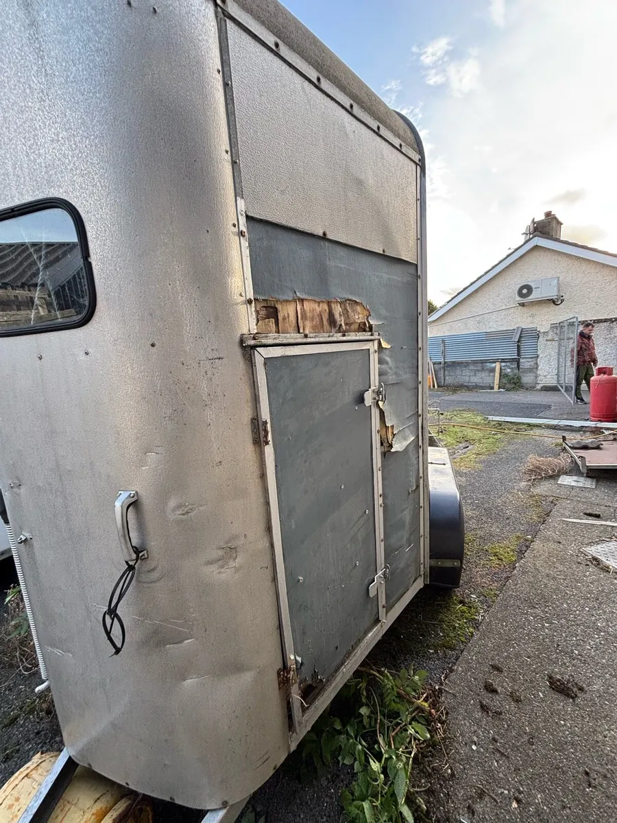 Ifor Williams 505 Horsebox - Image 2