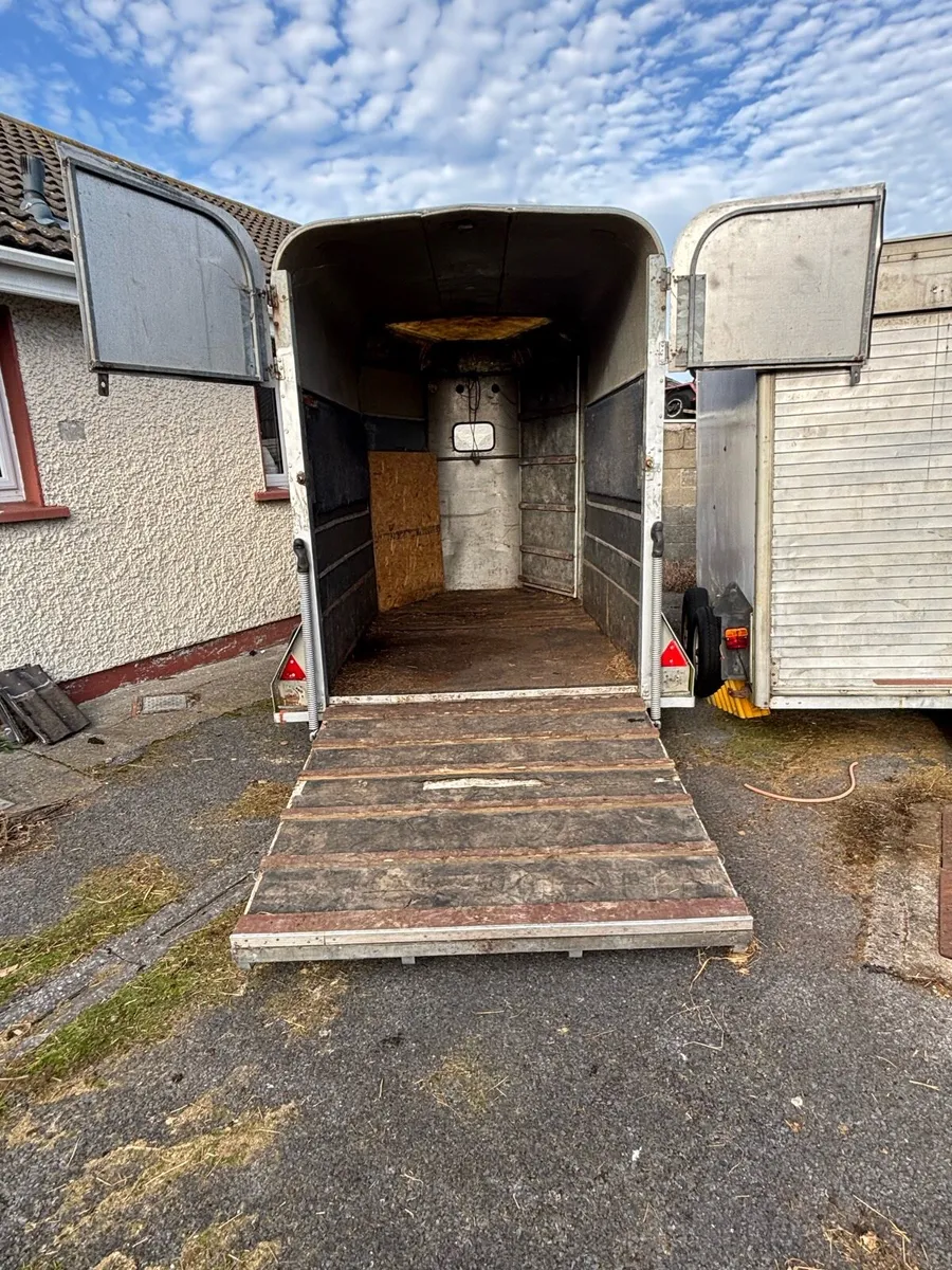 Ifor Williams 505 Horsebox - Image 3