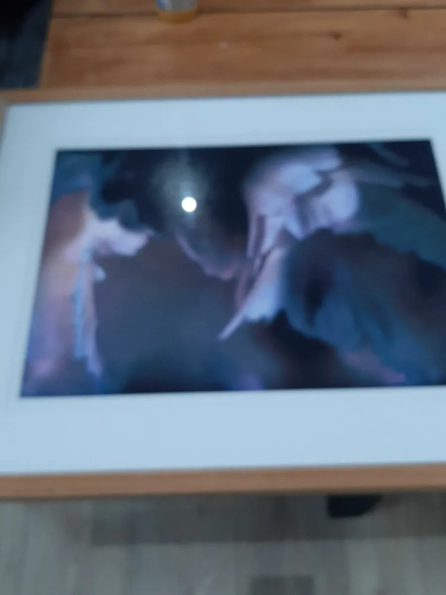 Picture - Image 3