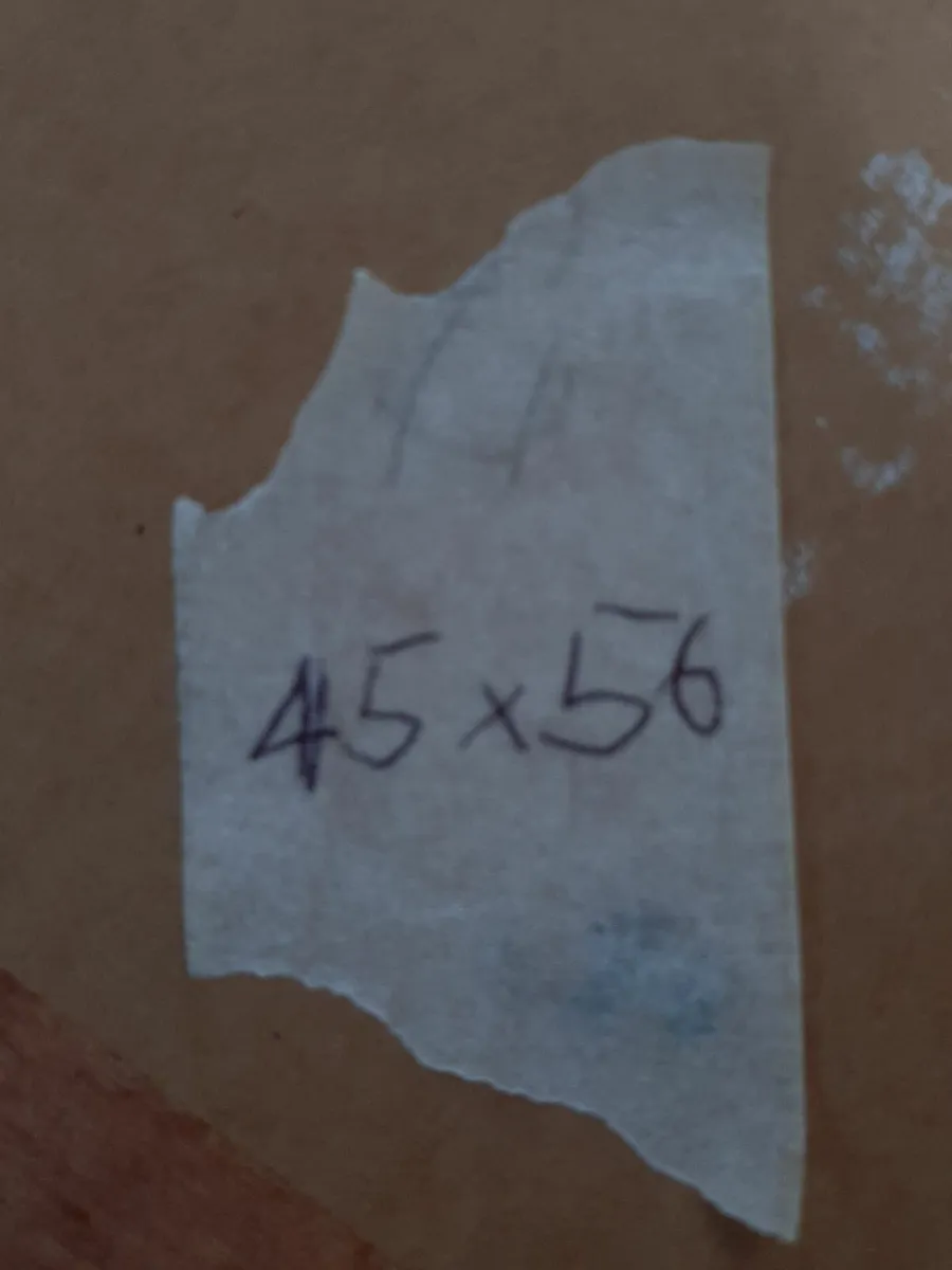 Picture - Image 4