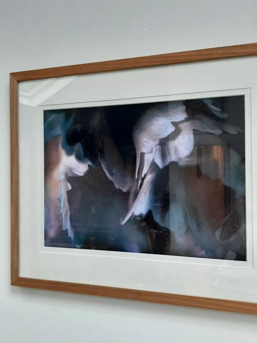 Picture - Image 1