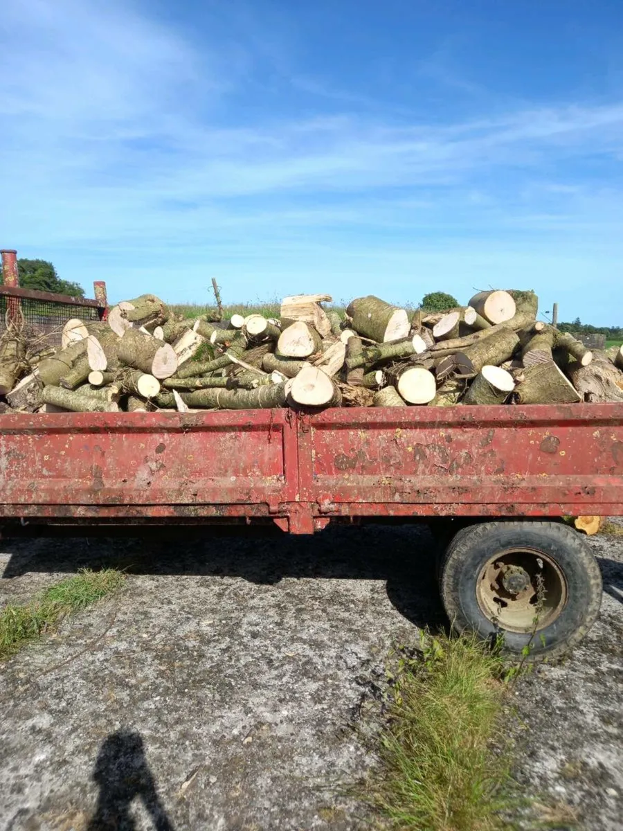 Firewood - Image 1