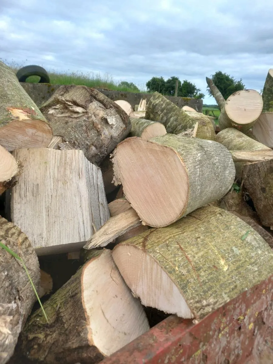 Firewood - Image 2