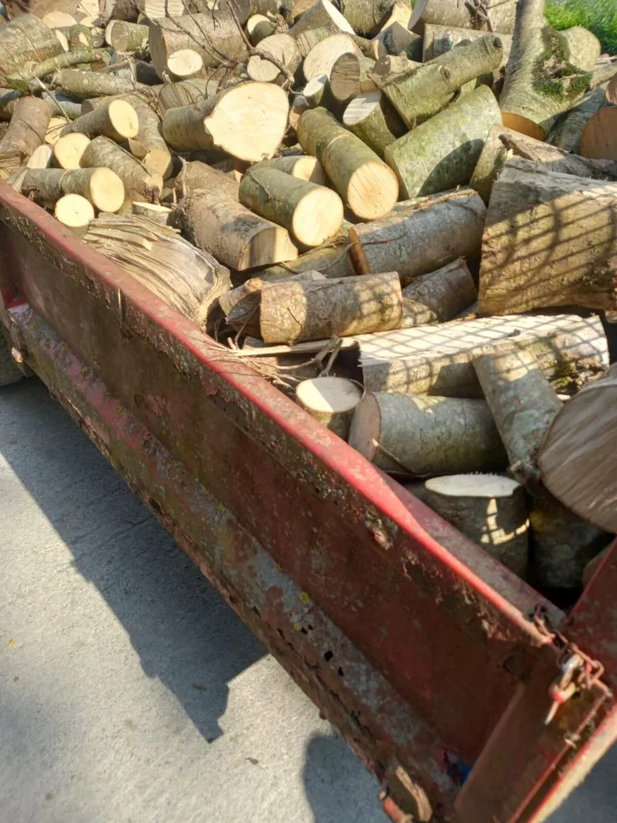 Firewood - Image 3