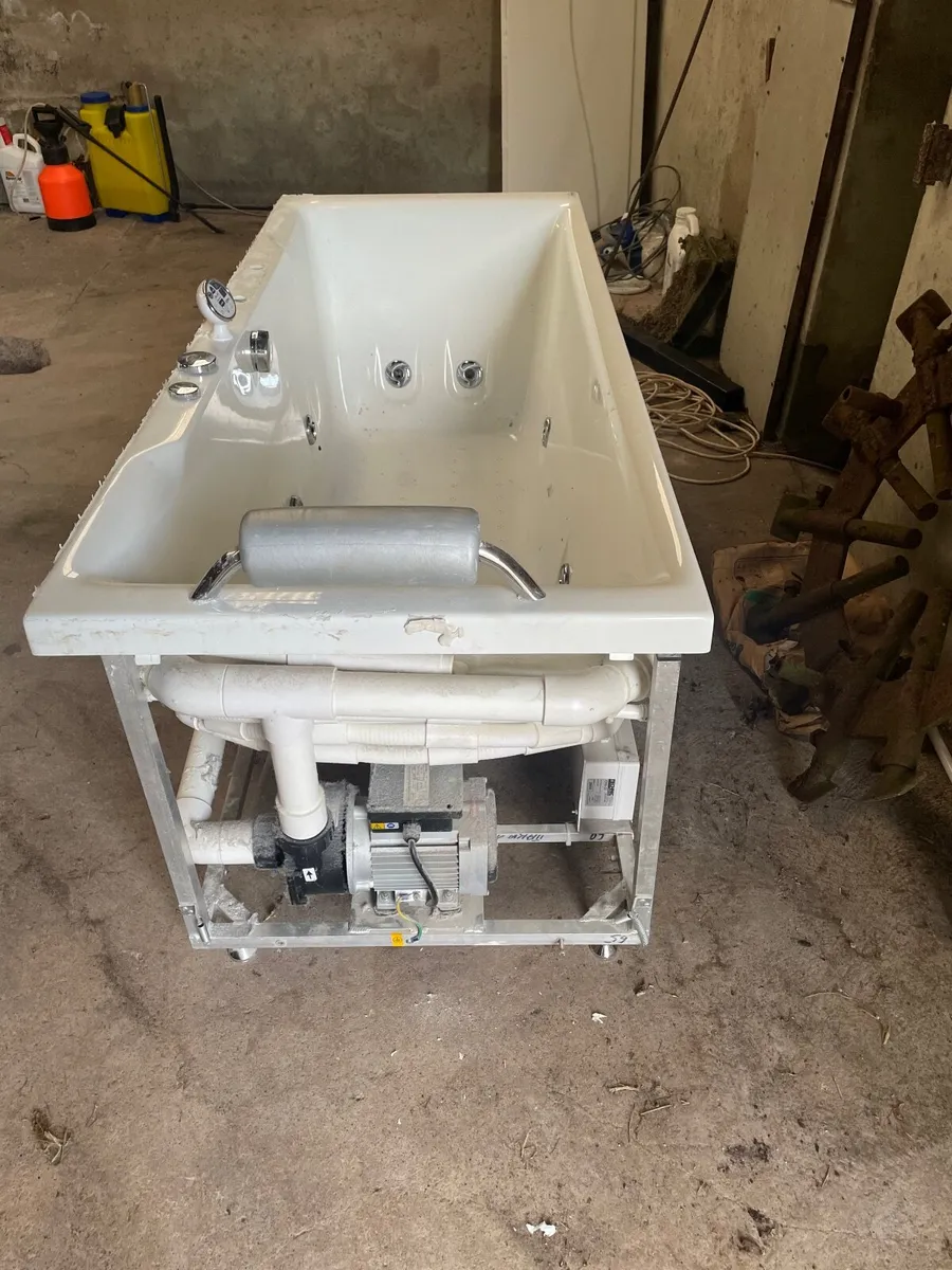 Jacuzzi bath - Image 1
