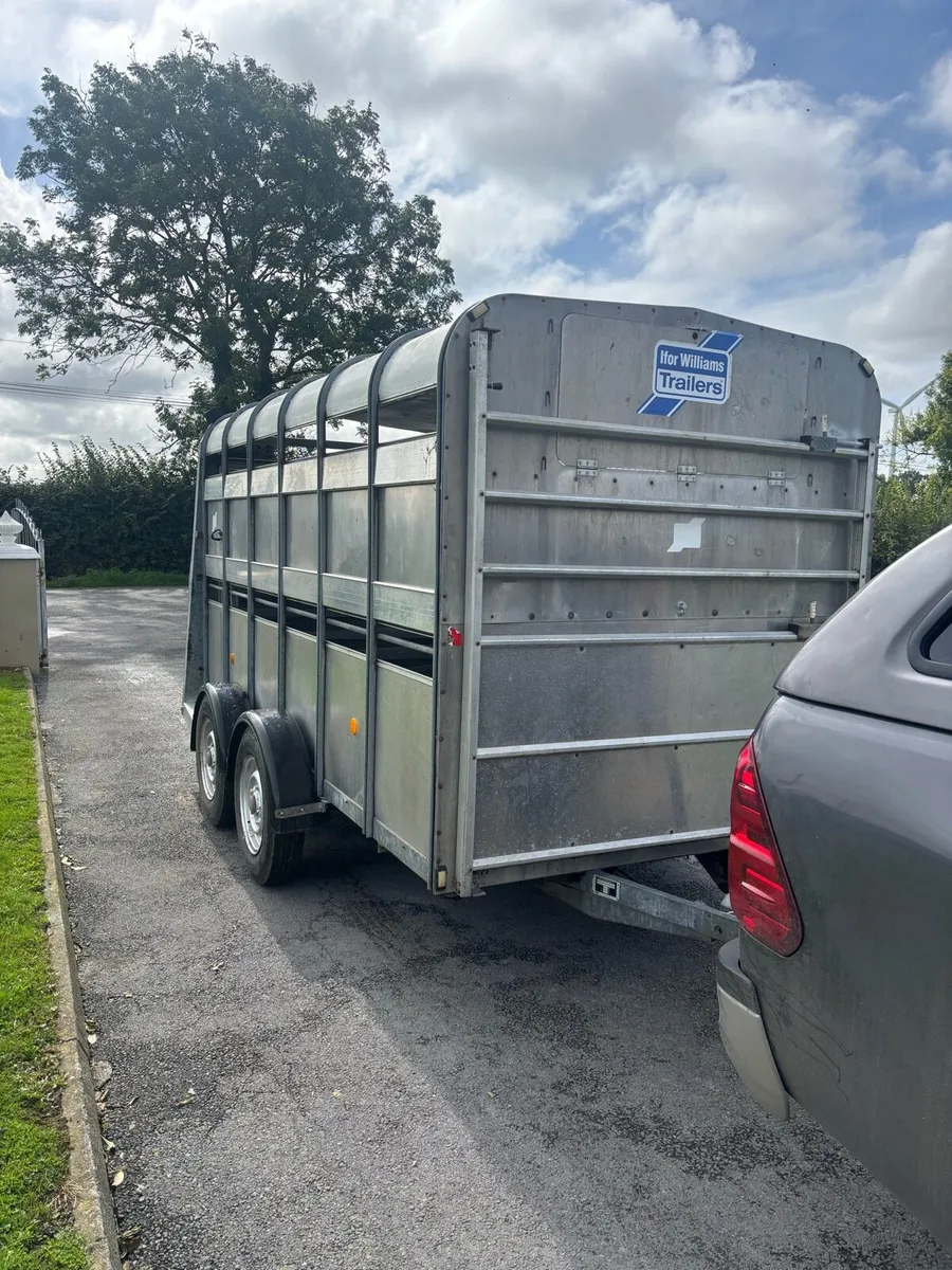 Iforwilliams cattle trailer - Image 1
