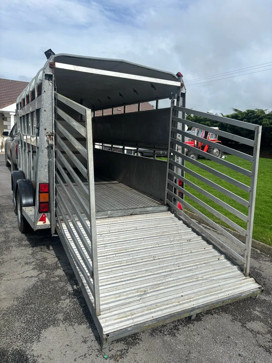 Iforwilliams cattle trailer - Image 4