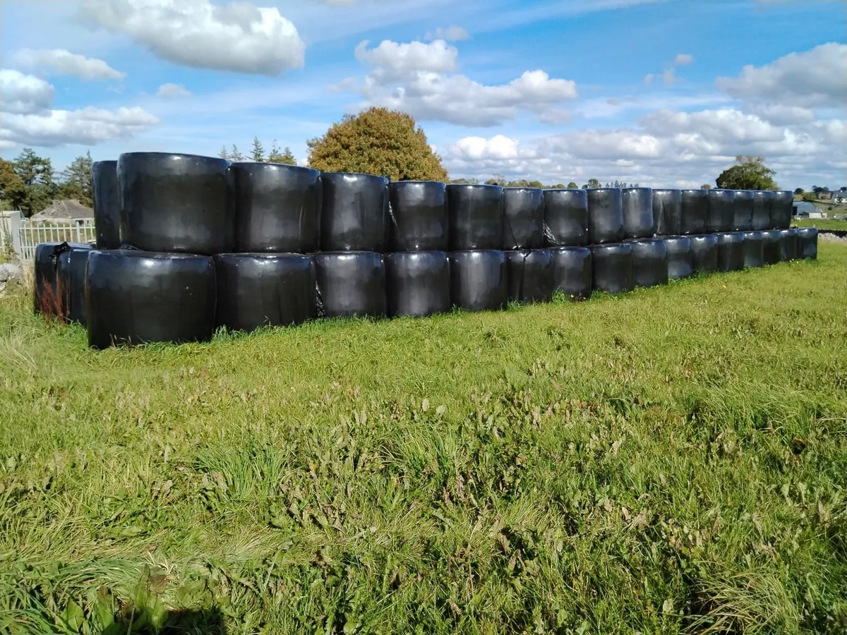 Silage Bales