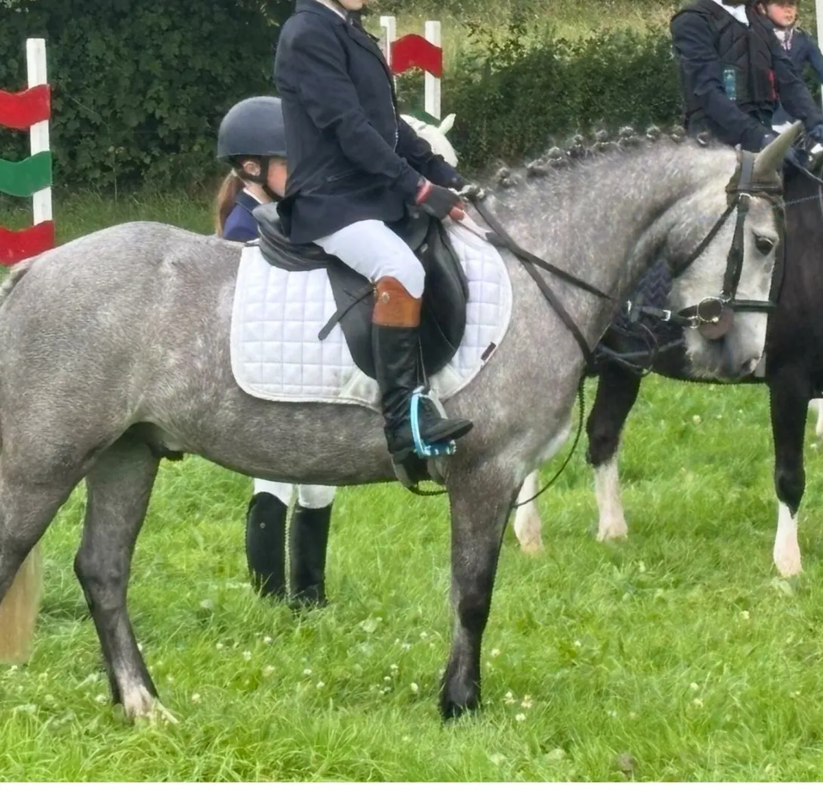 12.2 pony - Image 1