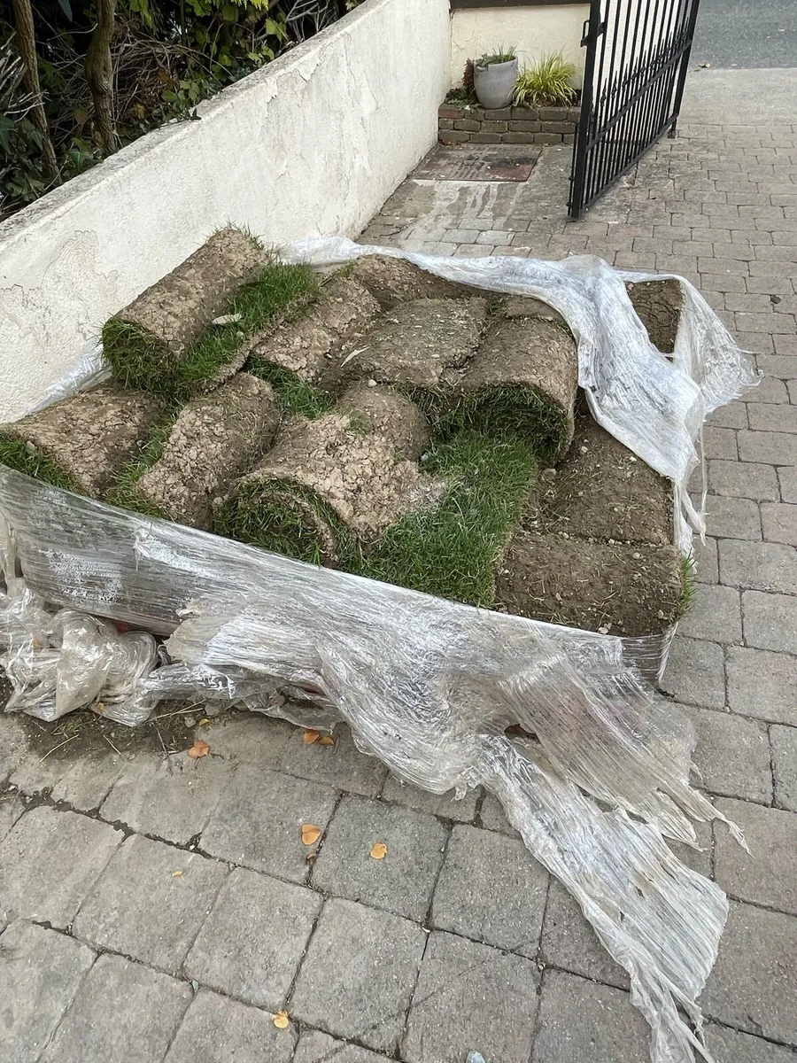 Free roll out grass
