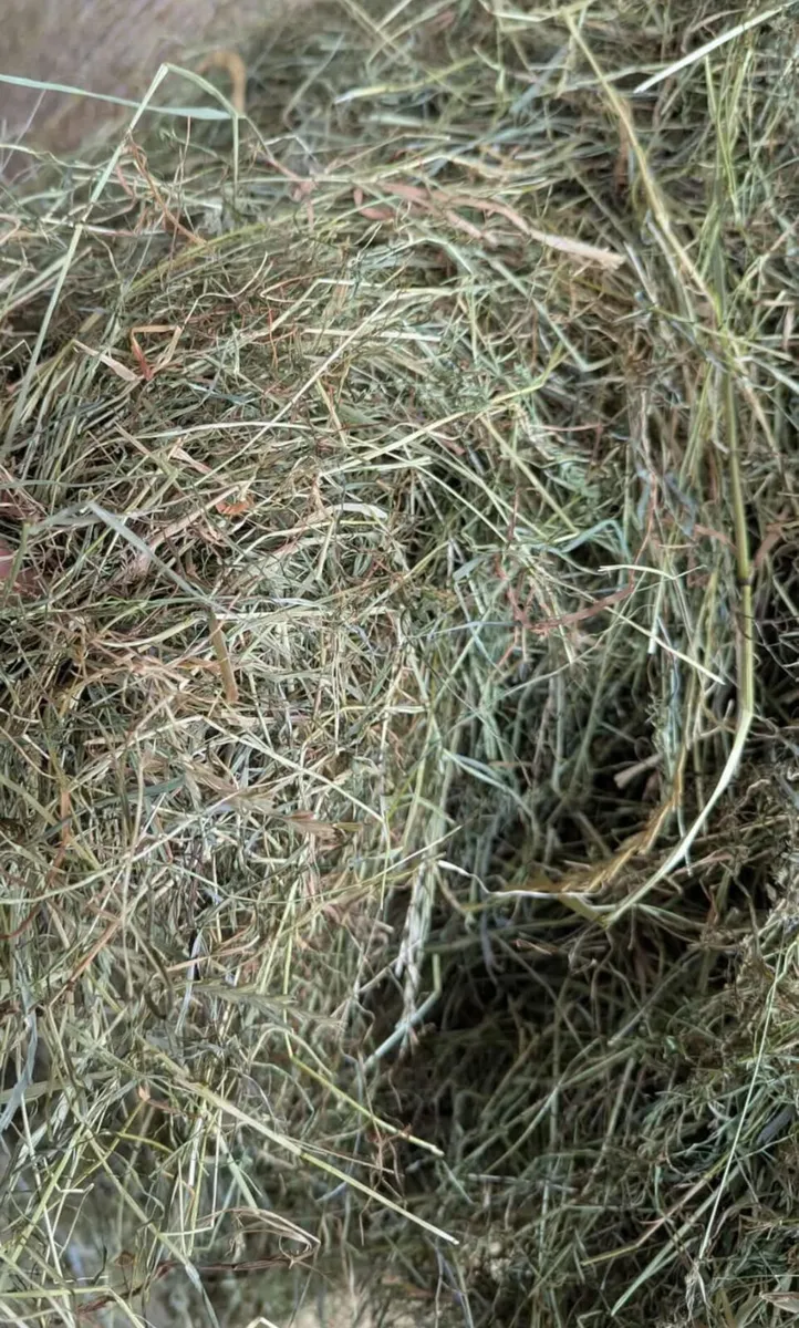 Hay & Straw - Image 2