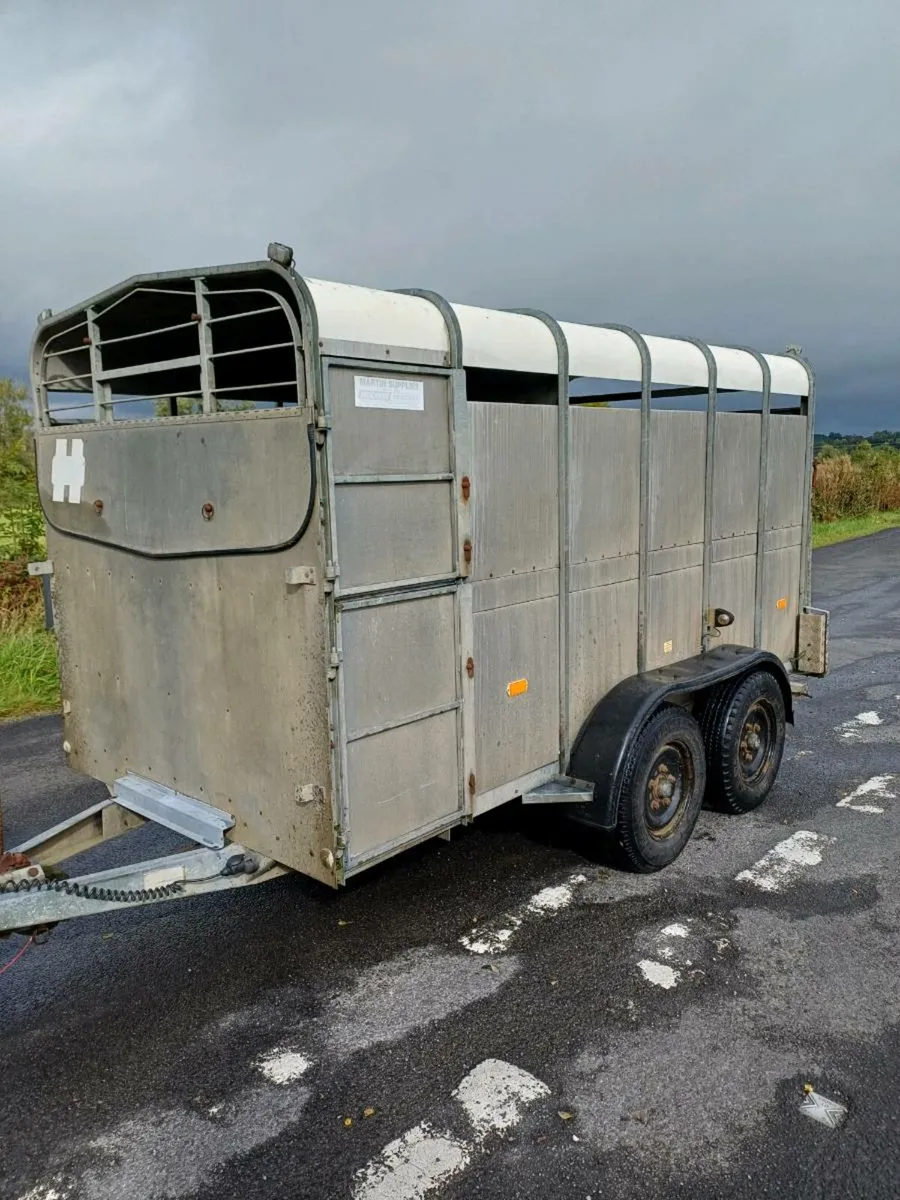 Hudson 12ft  cattle trailer - Image 2