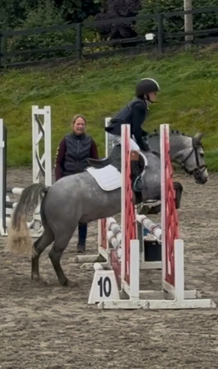 12.2 pony - Image 4