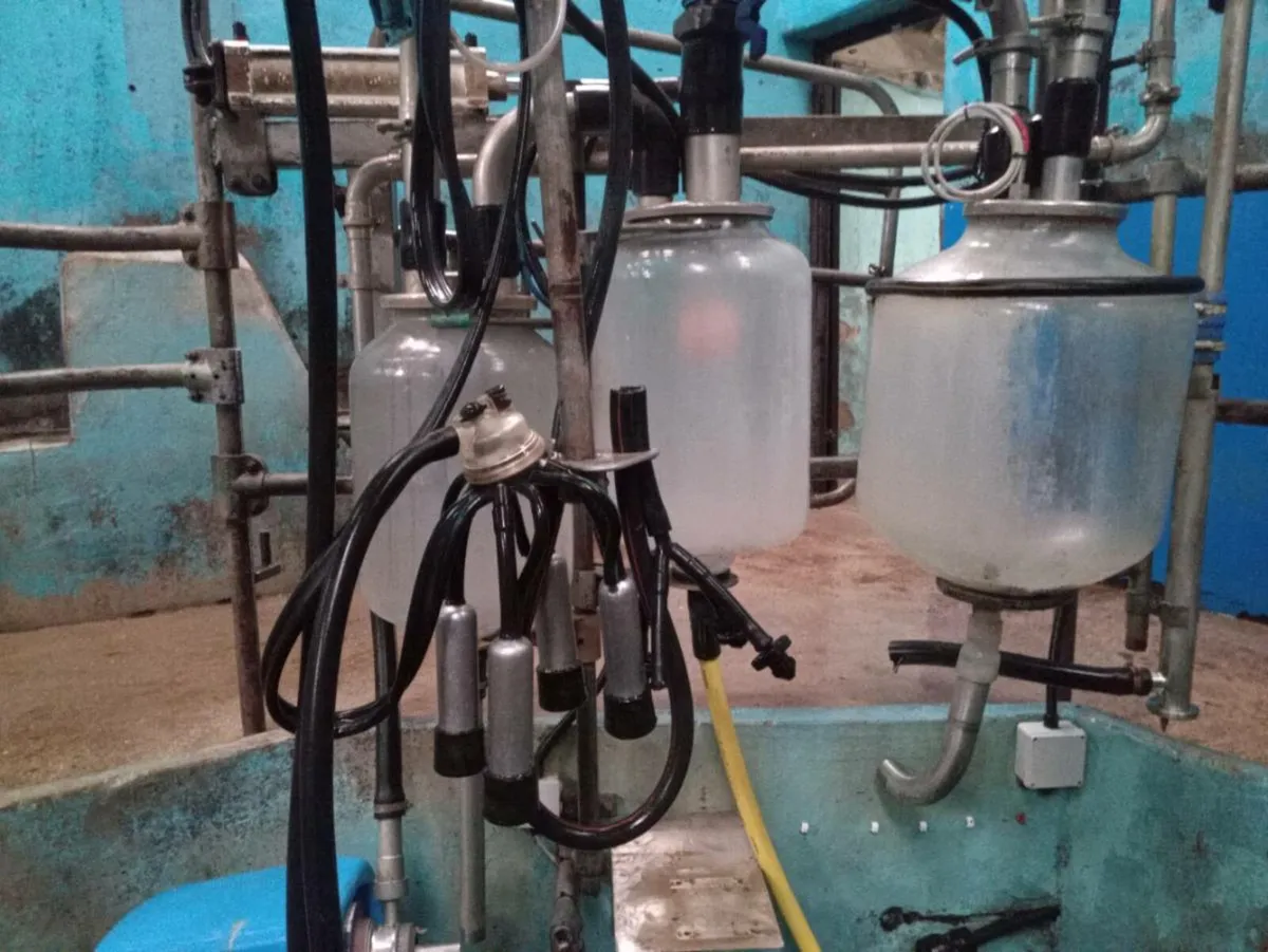 10 point milking parlour - Image 2