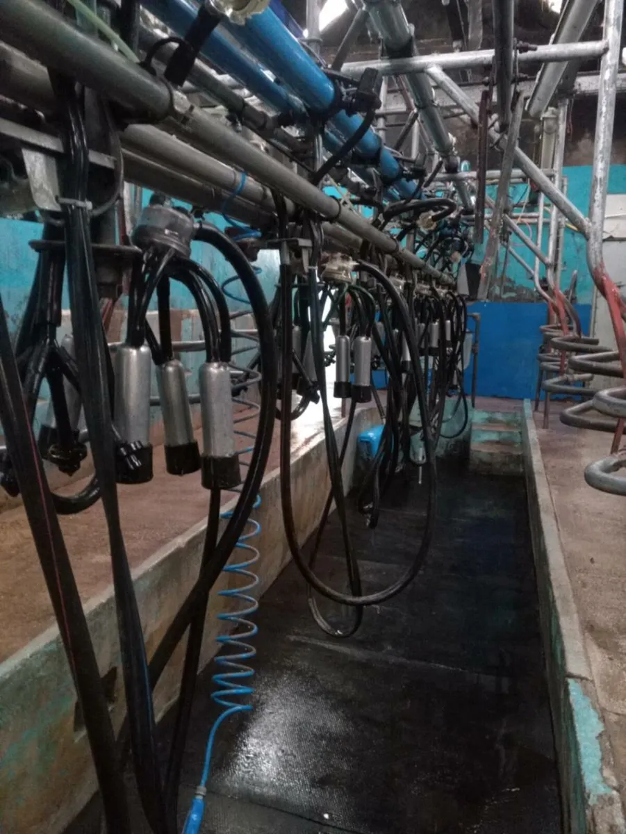 10 point milking parlour - Image 1