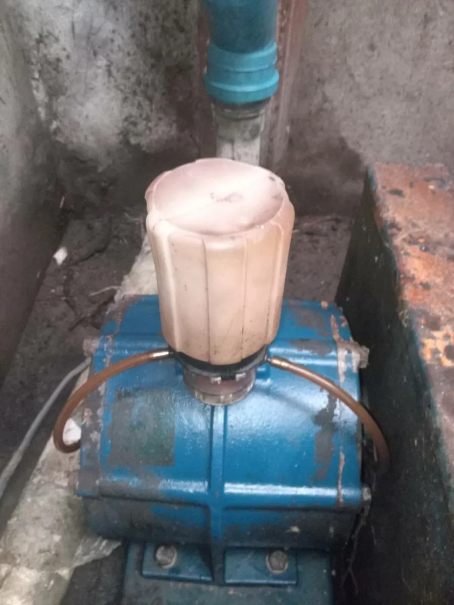 10 point milking parlour - Image 3