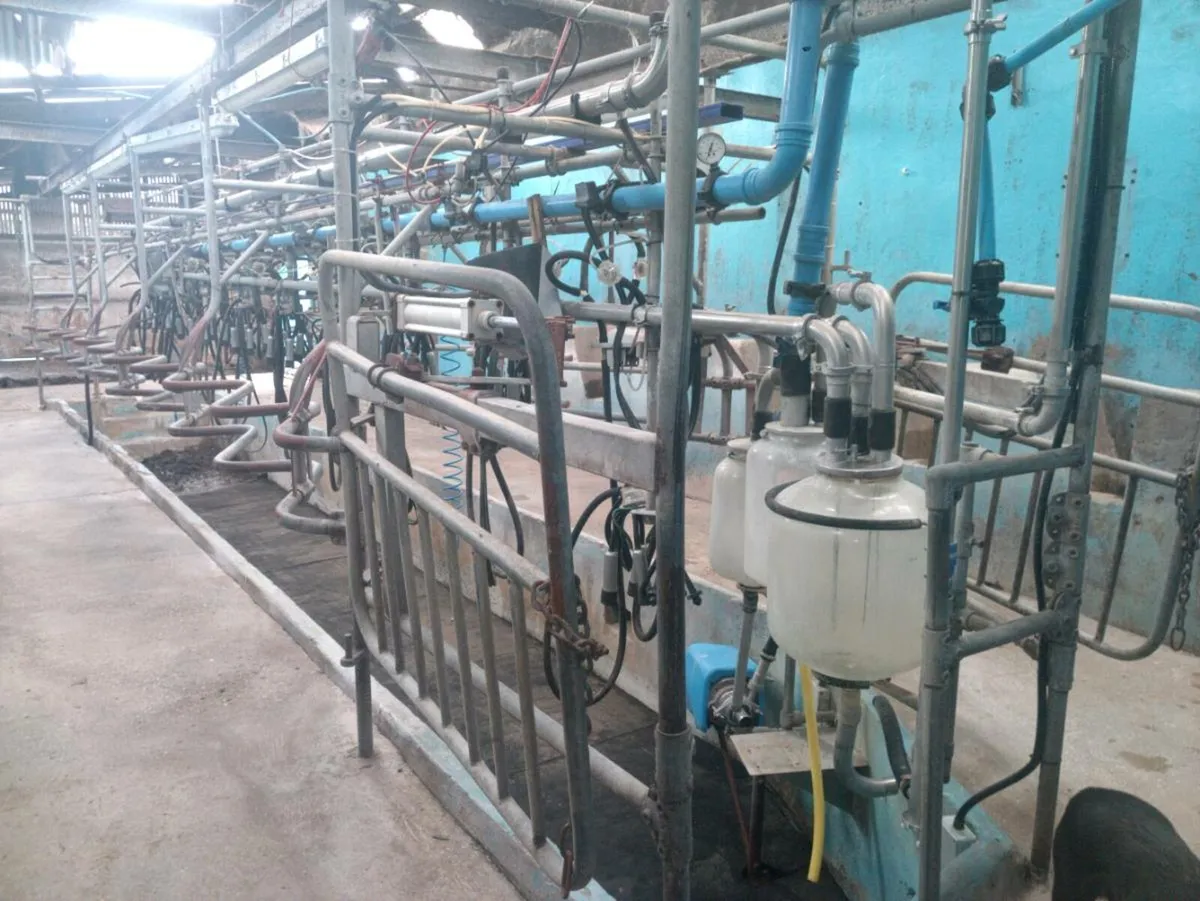 10 point milking parlour - Image 4