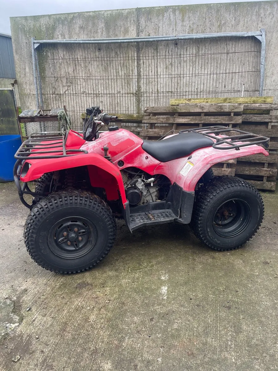 Yamaha 350cc 4x4 - Image 3