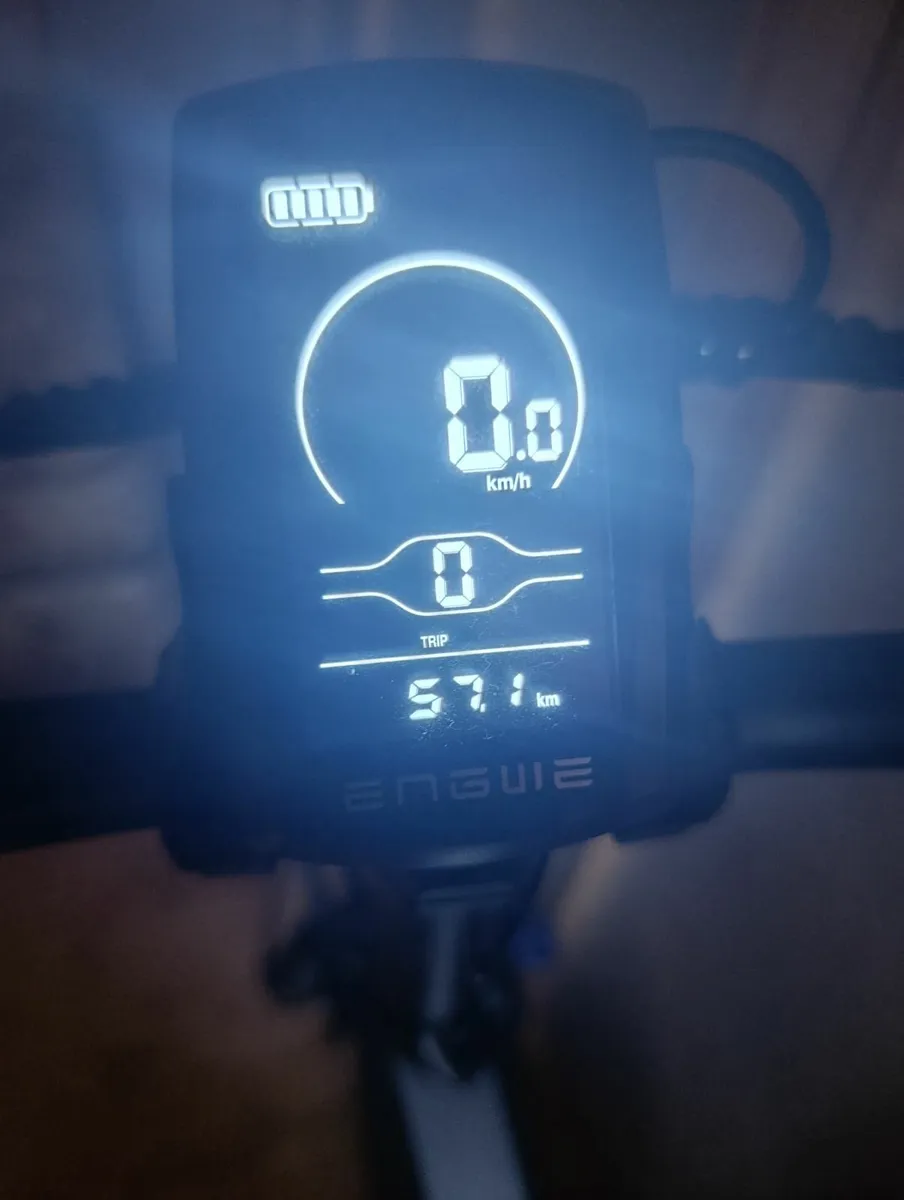 Engwe ep 2 pro pedal assist 1000 watt motor - Image 2